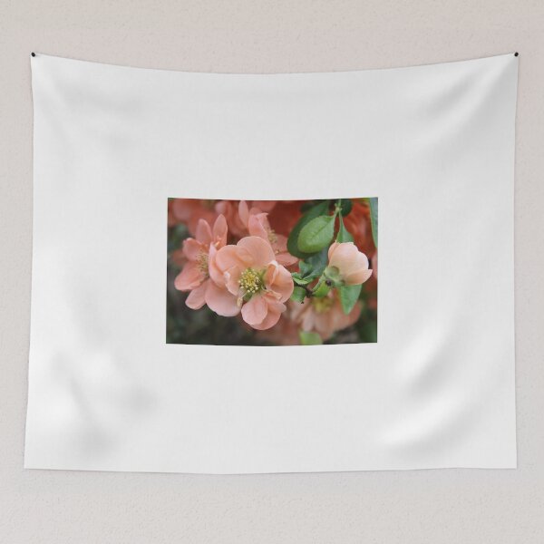 Item preview, Meaning Japanese designed and sold by coffeebean.