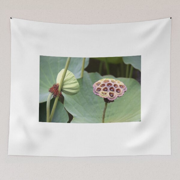 Item preview, Down In The Lotus Pond designed and sold by coffeebean.