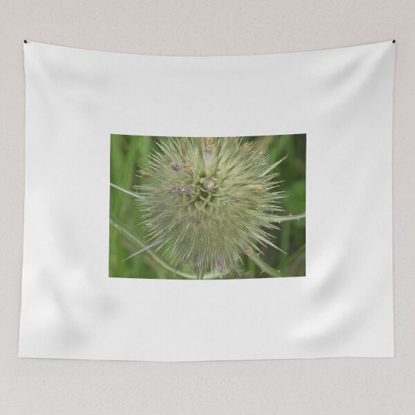 Item preview, THISTLE be a Scottish emblem!  designed and sold by anaisnais.