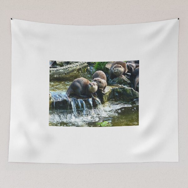Item preview, Group Of Small Otters from Escot, Ottery St Mary Devon designed and sold by lynn carter.