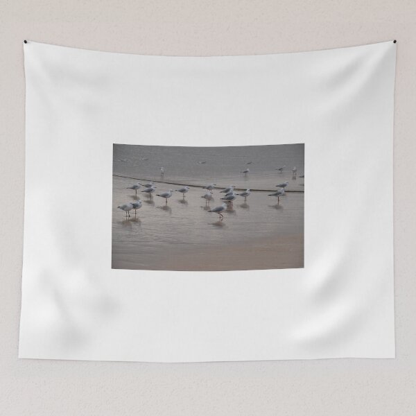 Item preview, Seagulls Waiting - Coral Bay, Exmouth Peninsular, WA designed and sold by Sandra Albin.
