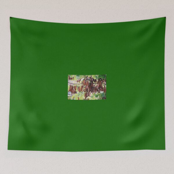 Item preview, Seed Pods & Leaves, Matera, Italy designed and sold by Sandra Albin.