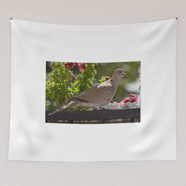 Item preview, Inquisitive bird ...(2) designed and sold by MarekM.