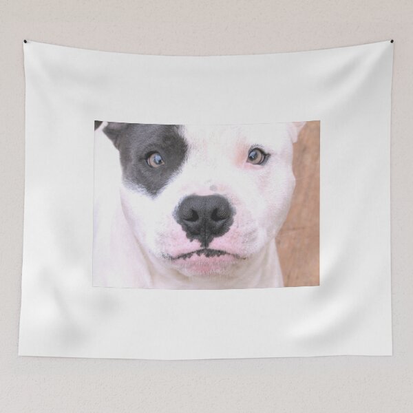 Item preview, I Am NOT Crosseyed!! designed and sold by Ginny York.
