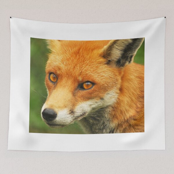 Item preview, Foxy Lady designed and sold by Anthony Hedger Photography.