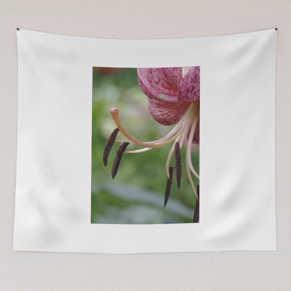 Item preview, Eros - my garden, Ottawa, Ontario designed and sold by Tracey  Dryka.