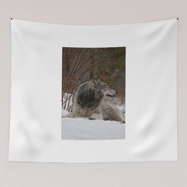 Item preview, Tranquil designed and sold by Tracey  Dryka.