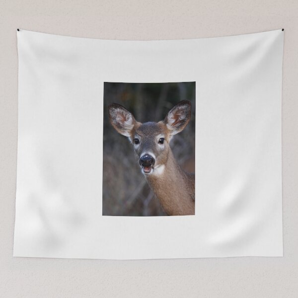 Item preview, Well hello there! - White-tailed Deer designed and sold by James Cumming.