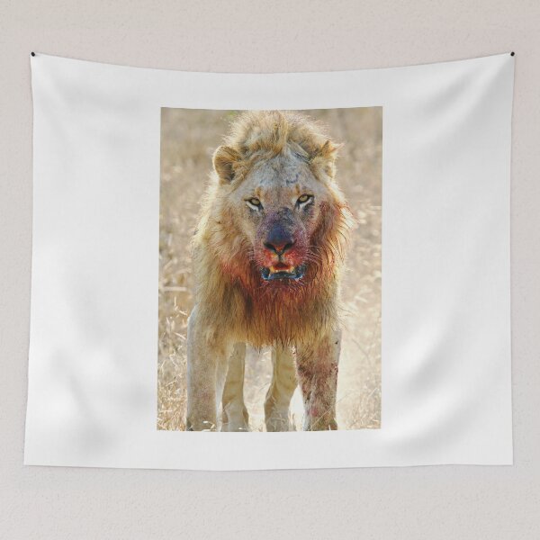 Item preview, Majingilane - Male Lion - Hyena Intimidation designed and sold by Michael Moss Photography.