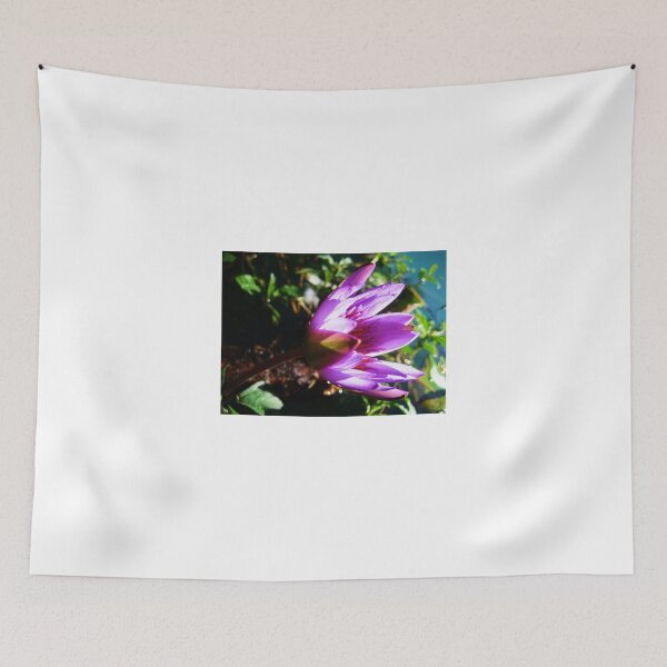 Item preview, Water Lily designed and sold by Savannah Gibbs.