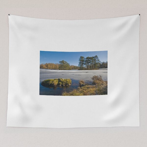 Item preview, Finsthwaite Tarn - High Dam designed and sold by eddiej.