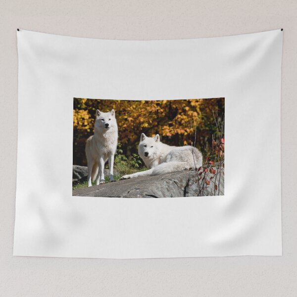 Item preview, Arctic wolves - Parc Omega, Montebello, PQ designed and sold by Tracey  Dryka.