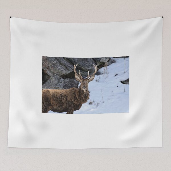 Item preview, Red deer - Parc Omega, Montebello, PQ designed and sold by Tracey  Dryka.