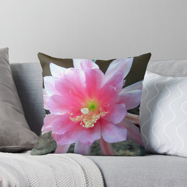 Item preview, Cactus Flower 2014 designed and sold by Chris Gudger.