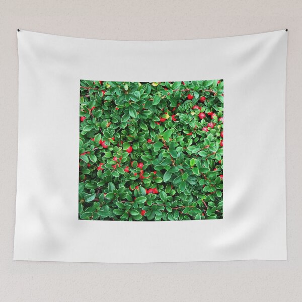 Item preview, Berry time designed and sold by Bluesrose.