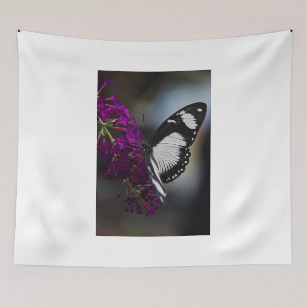 Item preview, Butterfly - Carleton University, Ottawa, Ontario designed and sold by Tracey  Dryka.