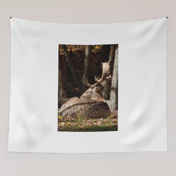 Item preview, Fallow deer - Parc Omega, Montebello, PQ designed and sold by Tracey  Dryka.