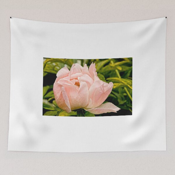 Item preview, Peony - Experimental Farms, Ottawa designed and sold by Tracey  Dryka.