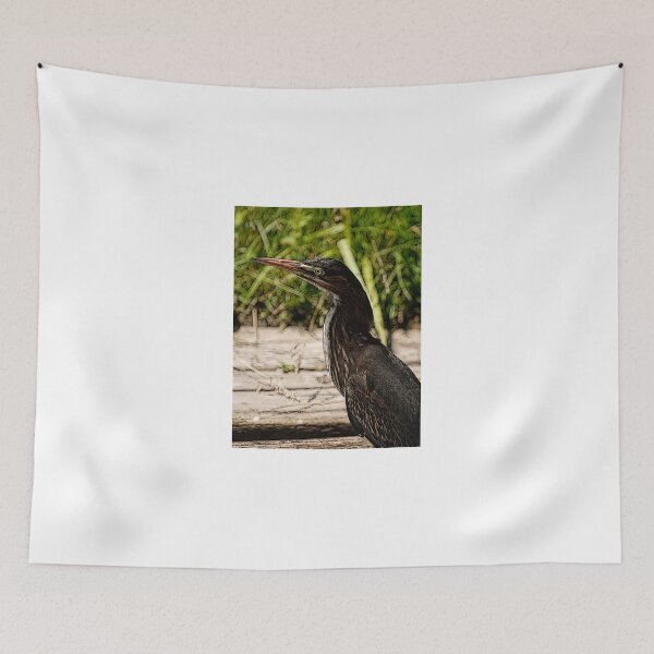 Item preview, Green Heron Hoodie designed and sold by Tracey  Dryka.