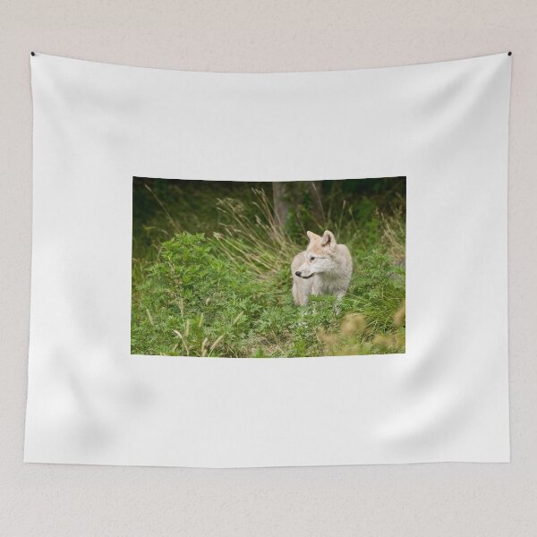 Item preview, Age of Innocence designed and sold by Tracey  Dryka.