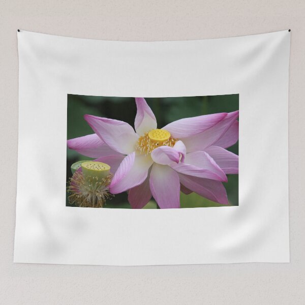 Item preview, Lotus So Lovely designed and sold by coffeebean.