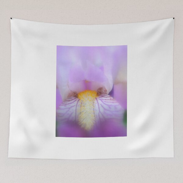 Item preview, Deep purple softness designed and sold by Eugenio.