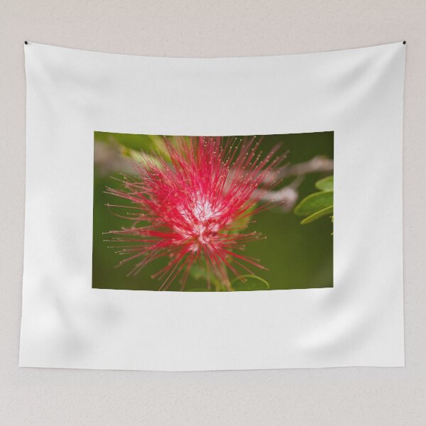 Item preview, BottleBrush Flower designed and sold by Richard Keech.