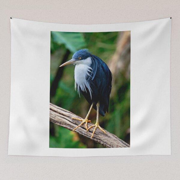 Item preview, Pied Heron designed and sold by Stuart Robertson Reynolds.