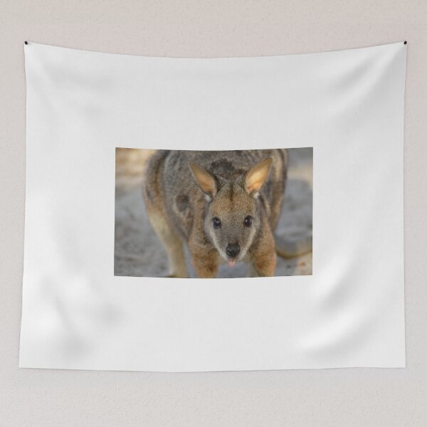 Item preview, Tammar Wallaby designed and sold by Stuart Robertson Reynolds.