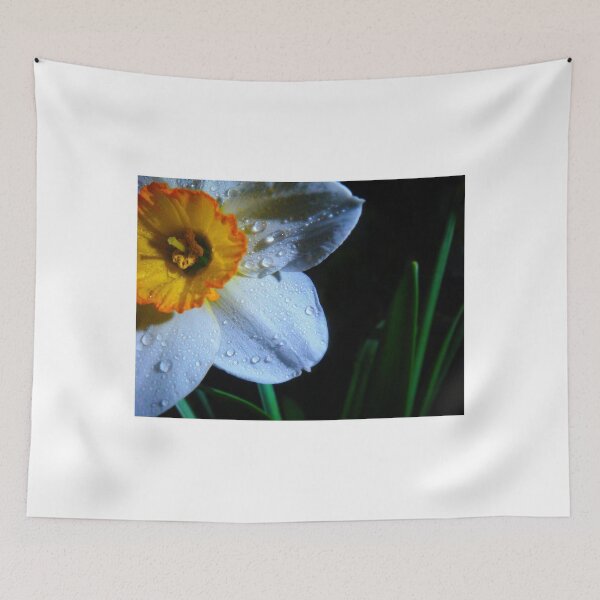Item preview, Daffy before night. designed and sold by Eugenio.