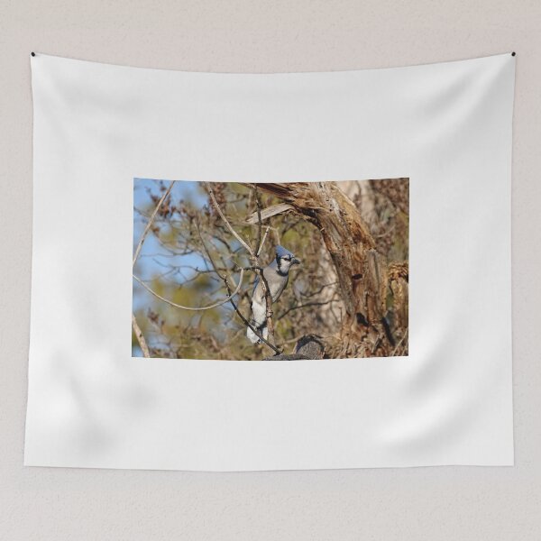 Item preview, Bluejay - Shirley's Bay designed and sold by Tracey  Dryka.