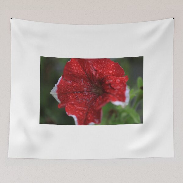 Item preview, Rain soaked petunia's designed and sold by Richard Keech.