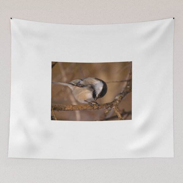 Item preview, Black Capped Chickadee - Mud Lake, Ottawa, Ontario designed and sold by Tracey  Dryka.
