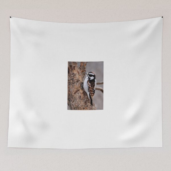 Item preview, Cinnamon coloured Downy woodpecker designed and sold by James Cumming.