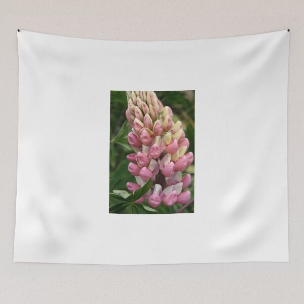 Item preview, Lupin designed and sold by coffeebean.