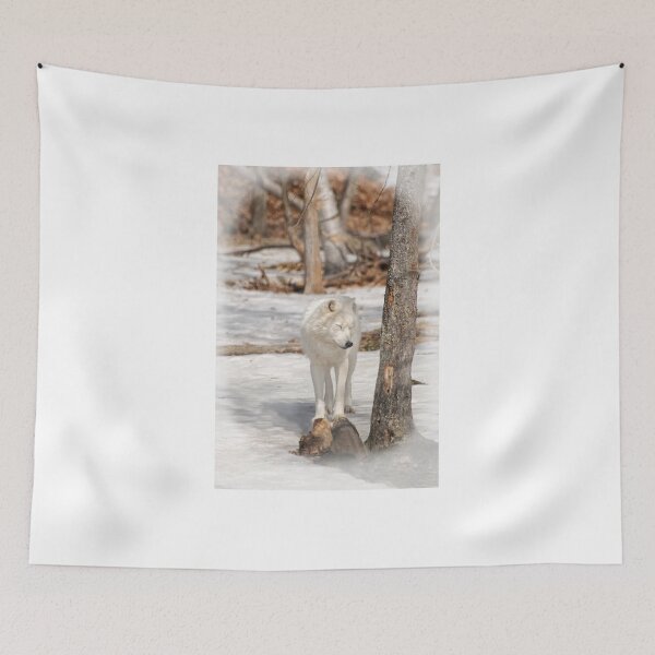 Item preview, Arctic wolf -Parc Omega, Montebello, PQ designed and sold by Tracey  Dryka.