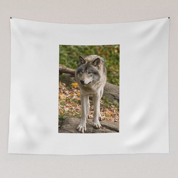 Item preview, Suspicious Minds! designed and sold by Tracey  Dryka.