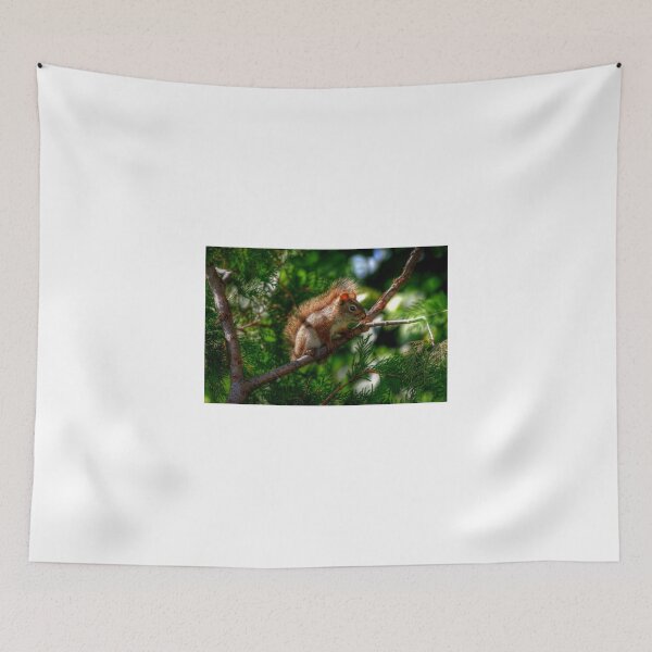 Item preview, Baby Red Squirrel designed and sold by Larry Trupp.