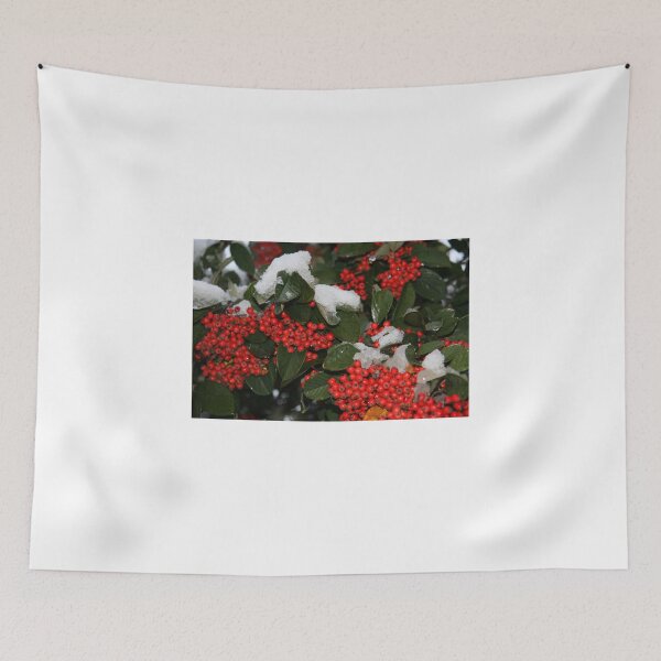 Item preview, Red, Snow White And Green With A Hint Of Gold designed and sold by coffeebean.