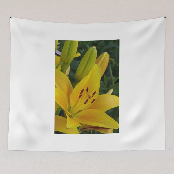 Item preview, Cheops - Asiatic lily, my garden designed and sold by Tracey  Dryka.