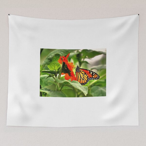 Item preview, A Royal visit from the Monarch designed and sold by Larry Trupp.