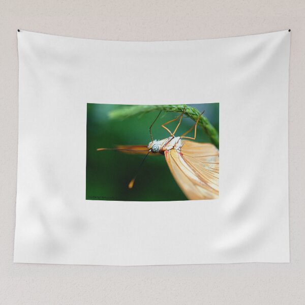 Item preview, A Better View of the World designed and sold by tigerwings.