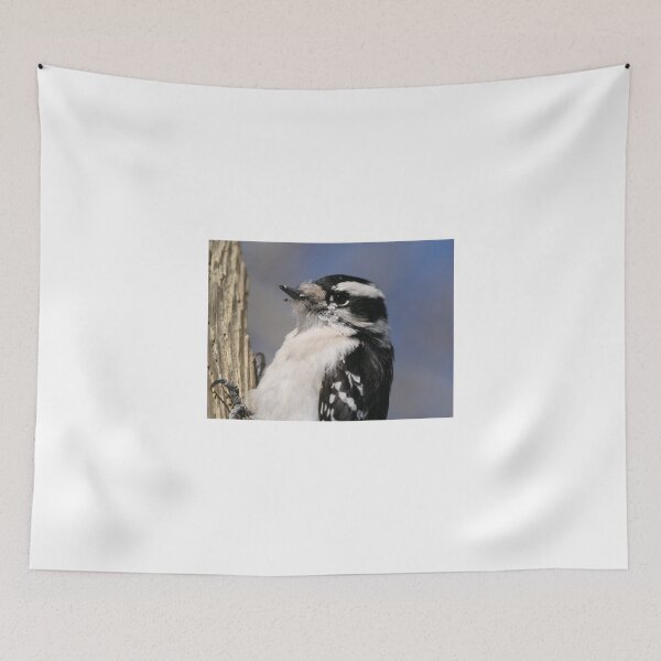 Item preview, Female Downie Woodpecker designed and sold by Larry Trupp.