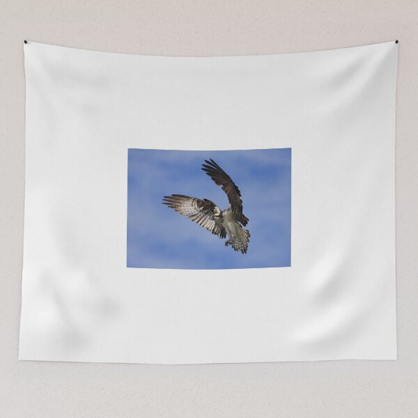 Item preview, Osprey Wingspan designed and sold by James Cumming.