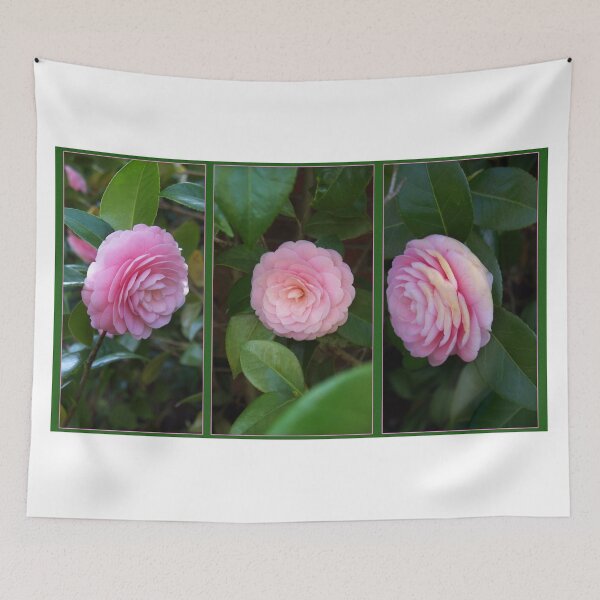 Item preview, Three Pink Ladies designed and sold by WalnutHill.
