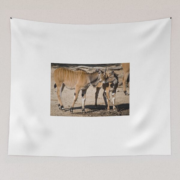 Item preview, Animal Affection designed and sold by Diego Re.