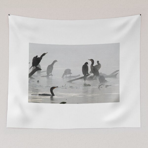 Item preview, Coromorants on a cold foggy florida winters day designed and sold by Anthony Goldman.