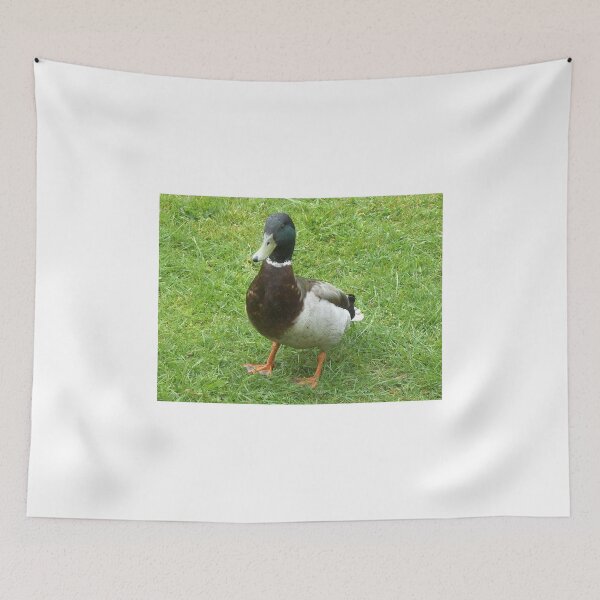 Item preview, Proud Mallard Male designed and sold by anaisnais.