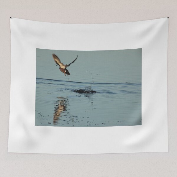 Item preview, the splash designed and sold by kathy s gillentine.