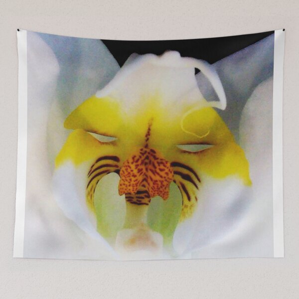 Item preview, Tom - Orchid Alien Discovery designed and sold by Ashley Cooke.